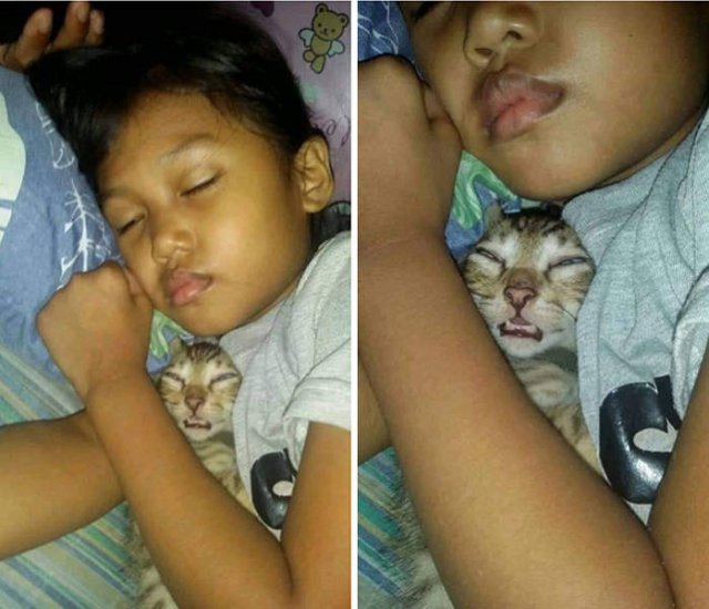 Cute Animals (47 pics)