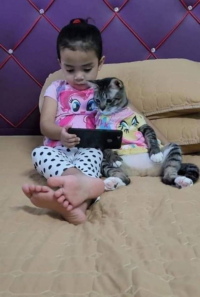 Cute Animals (47 pics)