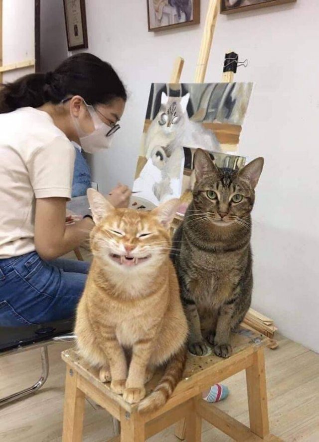 Cute Animals (47 pics)