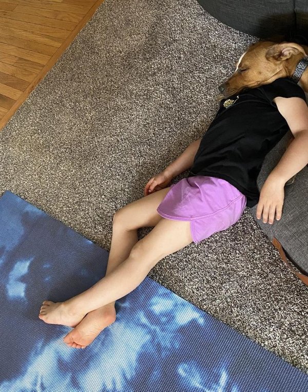 Look Twice (20 pics)