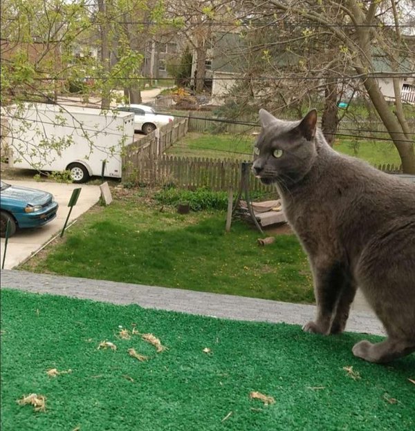 Look Twice (20 pics)