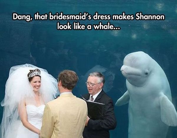 Memes About Wedding Day (30 pics)