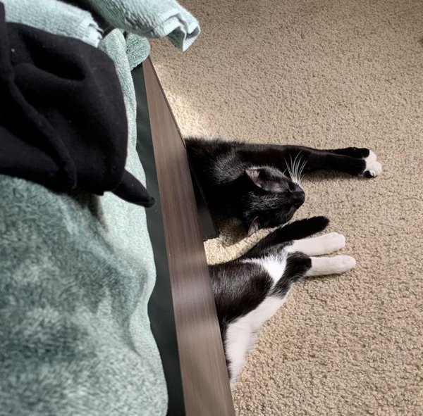 Look Twice (20 pics)