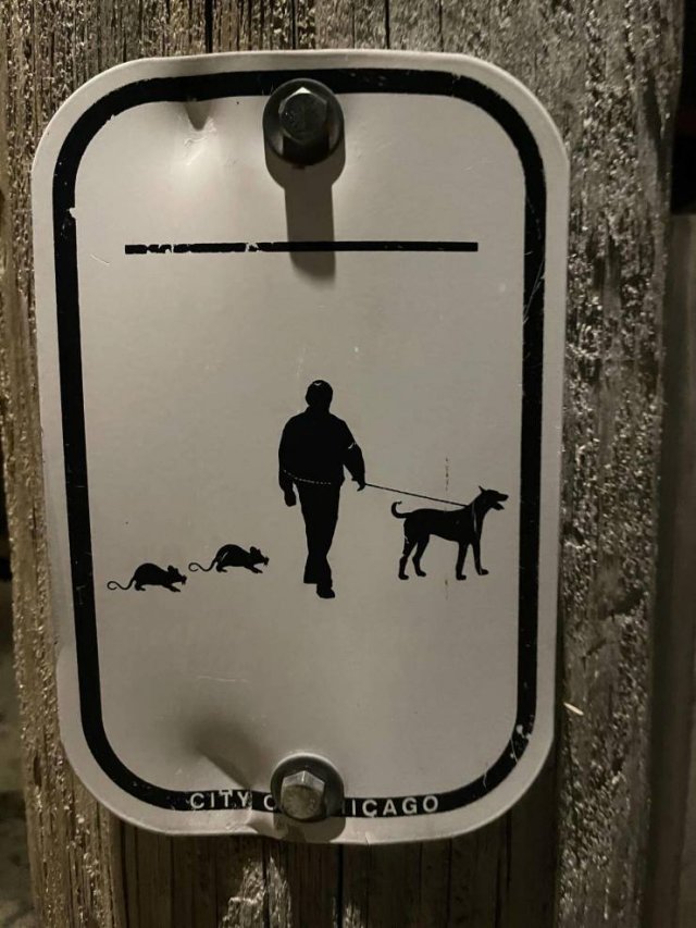 Interesting Photos (40 pics) Interesting Photos (40 pics)