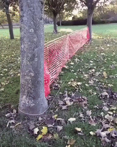 Acid Gifdump, May 27 (25 gifs)