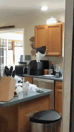 Acid Gifdump, May 27 (25 gifs)
