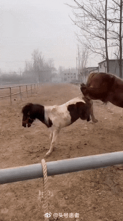 Acid Gifdump, May 27 (25 gifs)