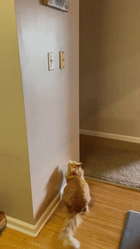 Acid Gifdump, May 27 (25 gifs)