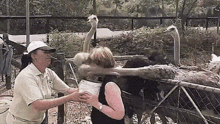 Acid Gifdump, May 28 (25 gifs)
