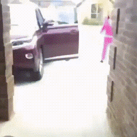 Acid Gifdump, May 28 (25 gifs)