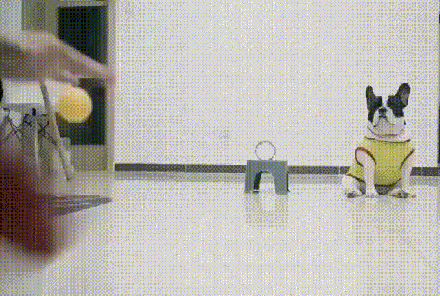 Acid Gifdump, May 28 (25 gifs)