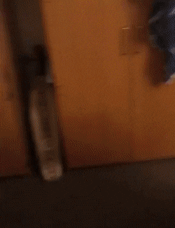 Acid Gifdump, May 28 (25 gifs)