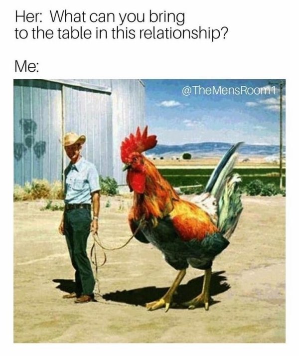 Random Funny Memes (27 pics)