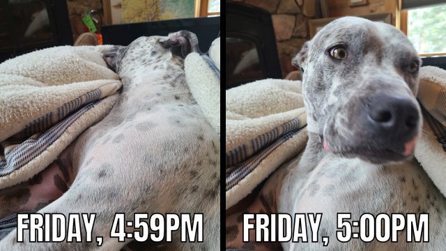Alcohol Memes And Pictures (15 pics)