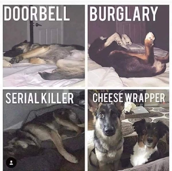 Random Funny Memes (27 pics)