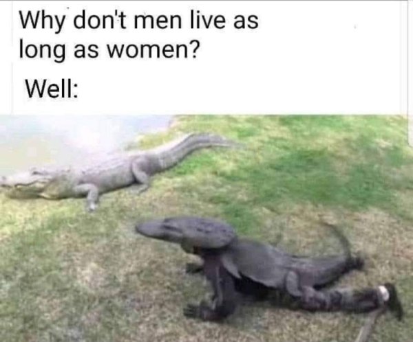 Random Funny Memes (27 pics)