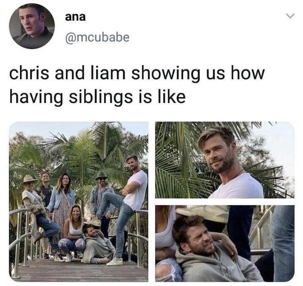 Sibling Memes (45 pics)