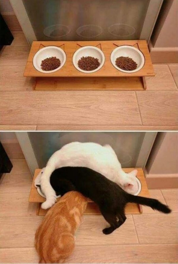 Random Funny Memes (27 pics)