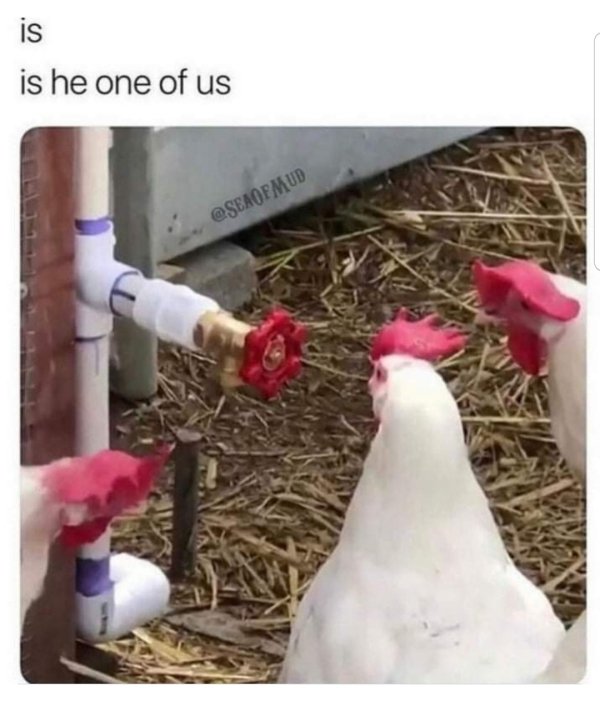 Random Funny Memes (27 pics)