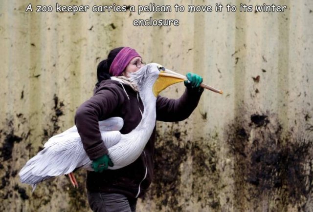 Acid Picdump 2 (41 pics)