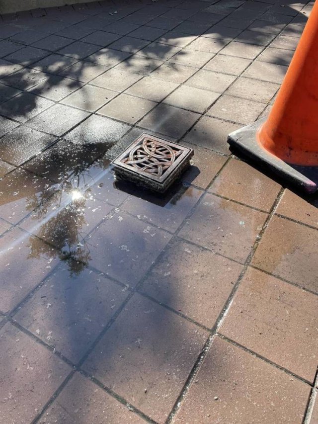 Acid Picdump 1 (49 pics)
