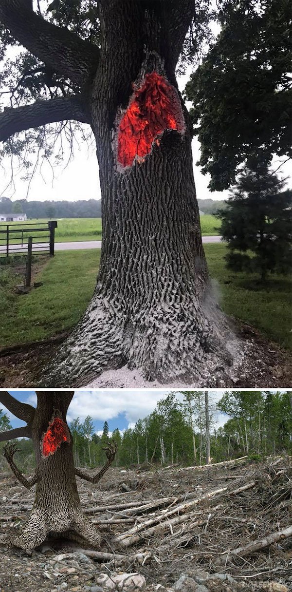Funny Photoshop (38 pics)