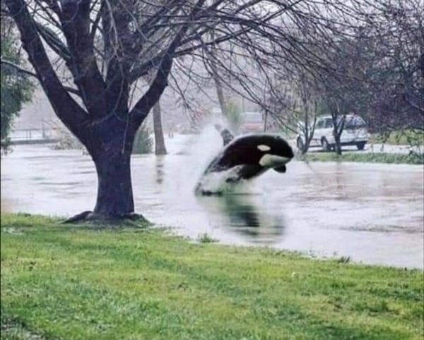 Funny Photoshop (38 pics)