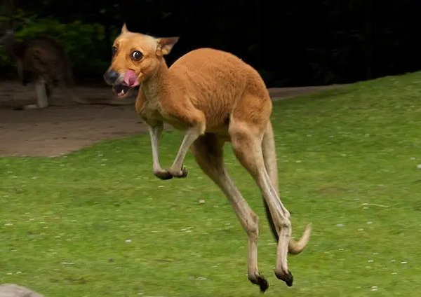 Funny Photoshop (38 pics)