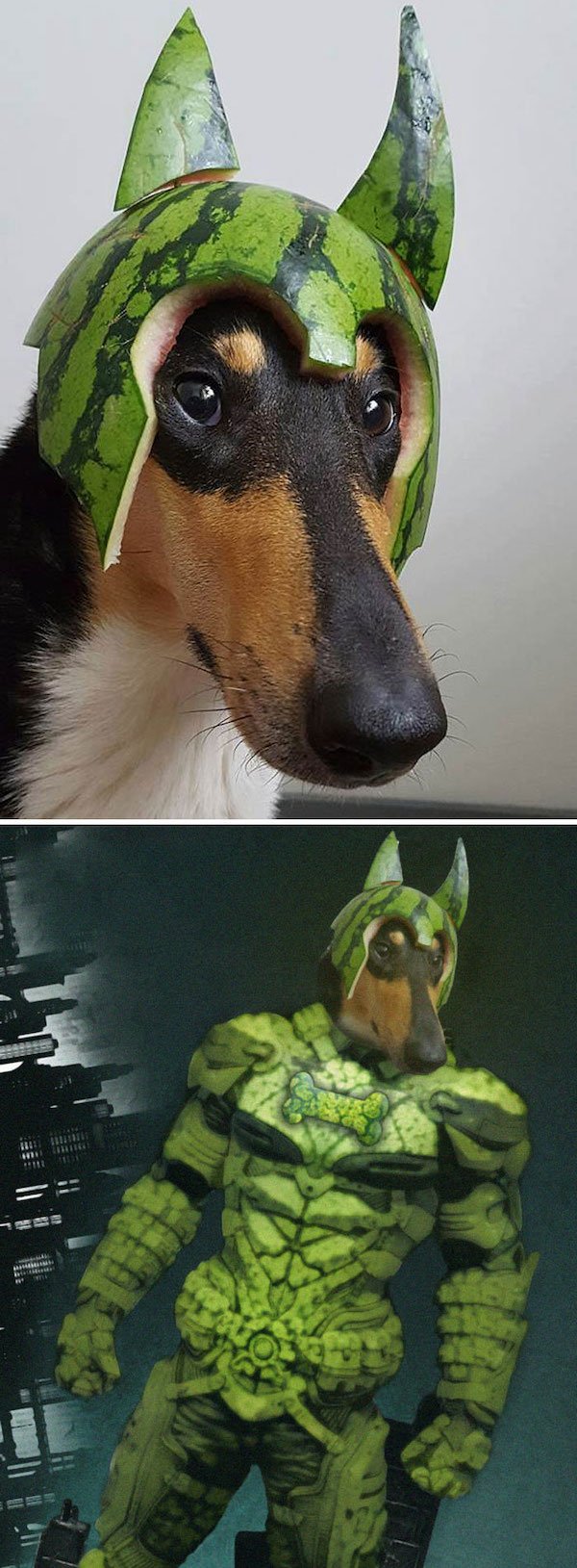 Funny Photoshop (38 pics)