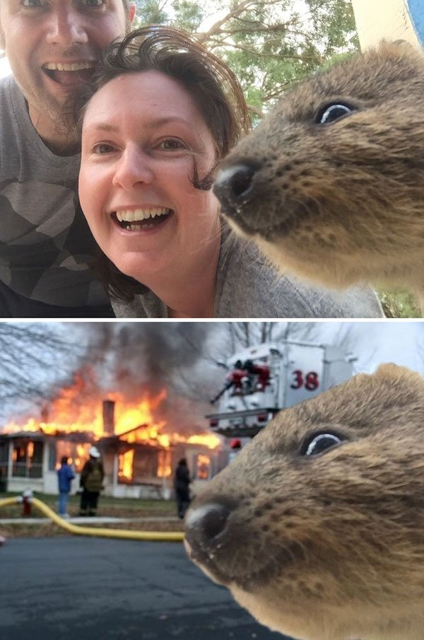 Funny Photoshop (38 pics)