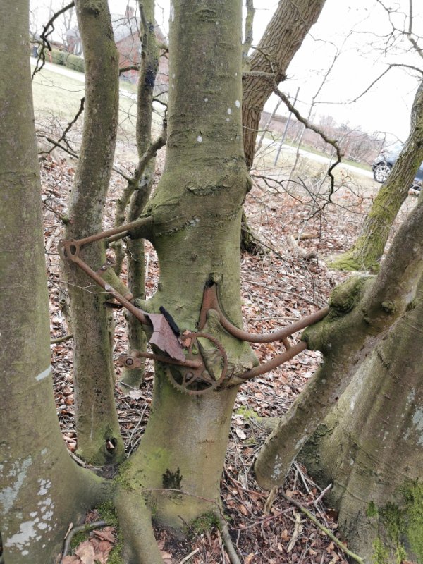 Look Closer (27 pics)