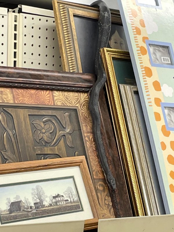 Look Closer (27 pics)