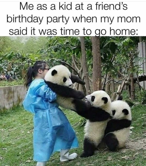 All Kids Do These Things (28 pics)