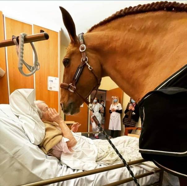 Amazing Pictures (45 pics)