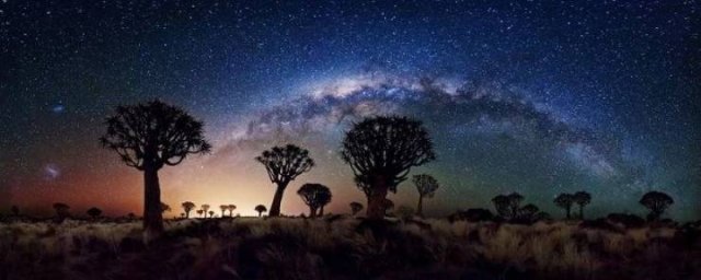 Amazing Pictures (45 pics)