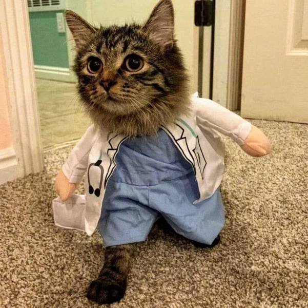 Acid Picdump 1 (84 pics)
