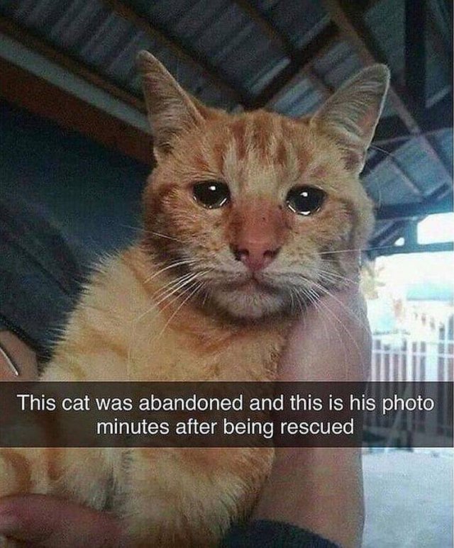 Acid Picdump 1 (84 pics)