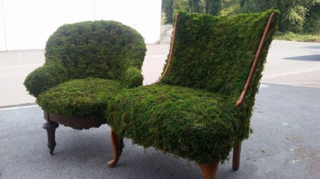 Acid Picdump 1 (84 pics)