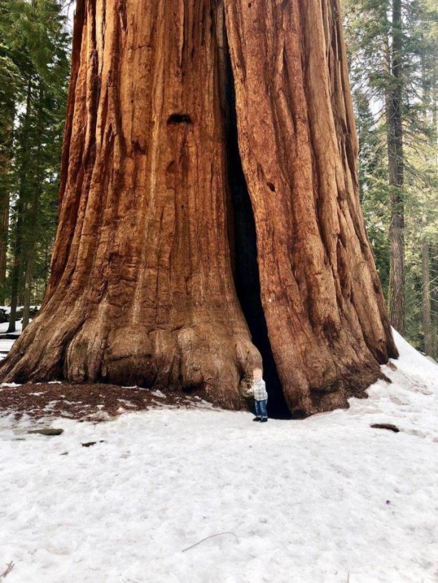Acid Picdump 1 (84 pics)