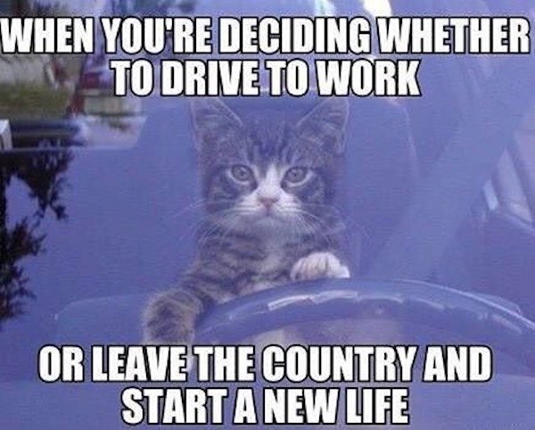 Country Memes (31 pics)