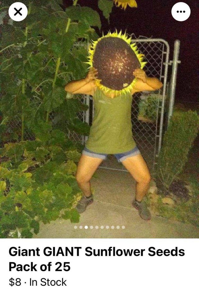 These People Know How To Sell (30 pics)
