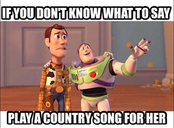 Country Memes (31 pics)