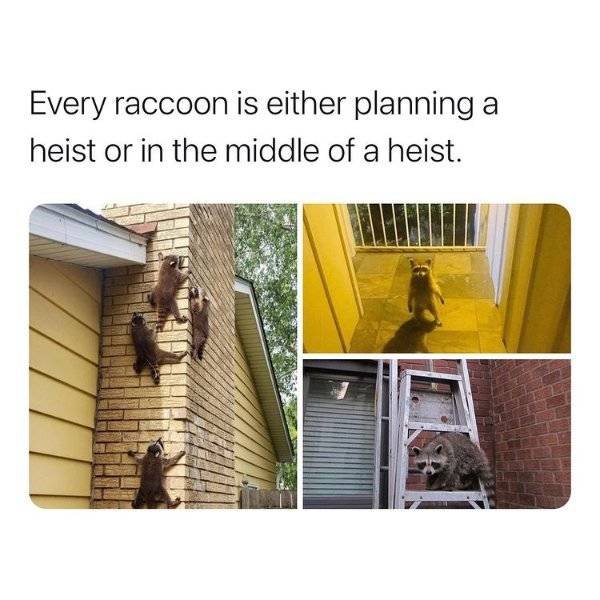 Random Funny Memes (51 pics)