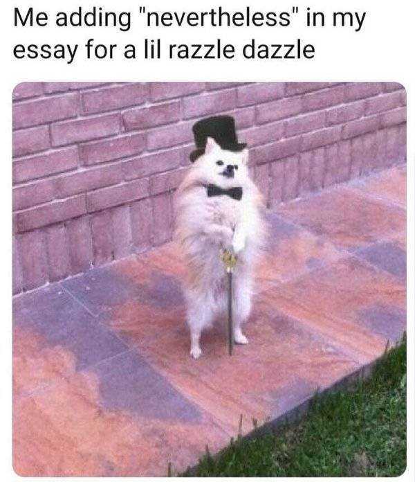 Random Funny Memes (51 pics)