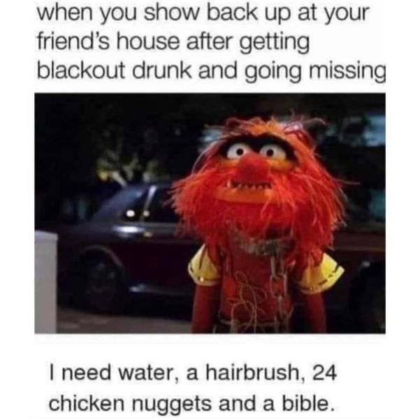 Random Funny Memes (51 pics)