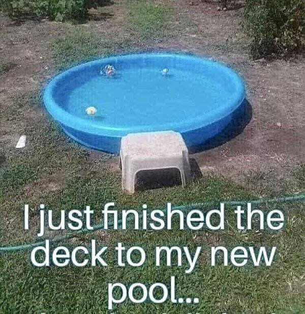 Random Funny Memes (51 pics)