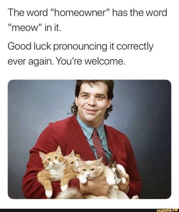 Random Funny Memes (51 pics)