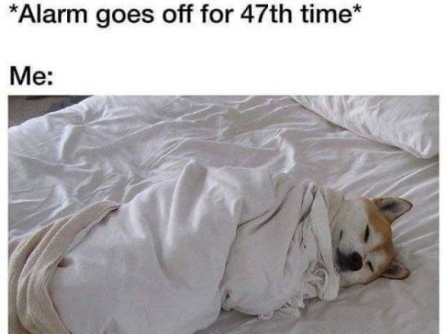 Random Funny Memes (51 pics)