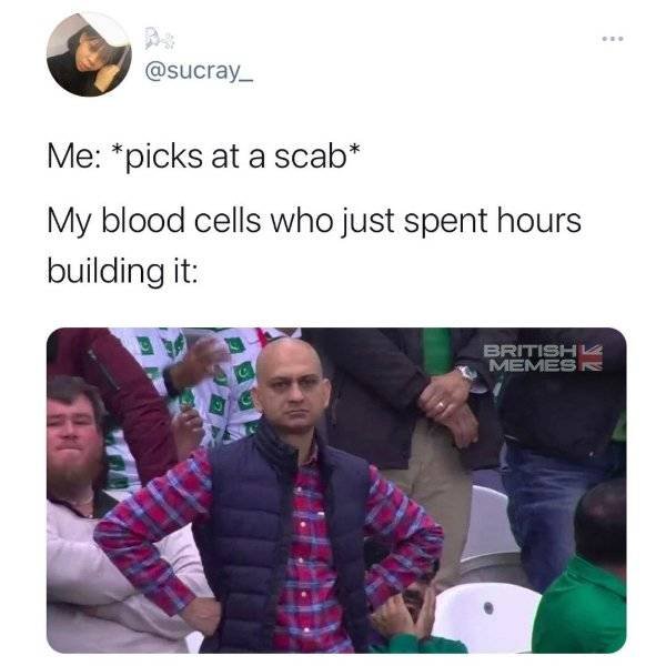 Random Funny Memes (51 pics)