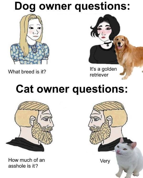 Random Funny Memes (51 pics)